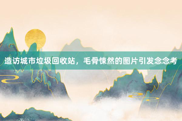造访城市垃圾回收站，毛骨悚然的图片引发念念考