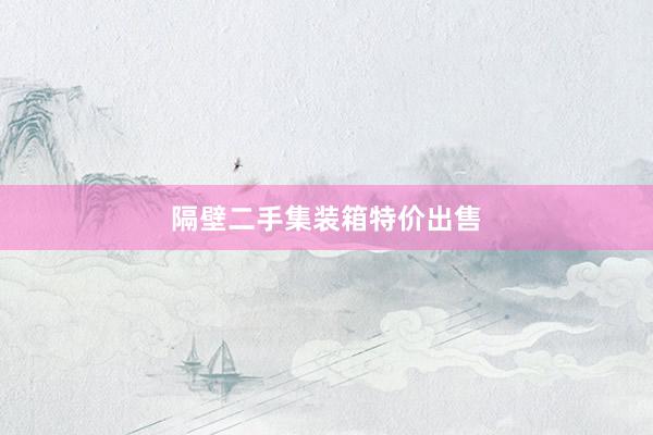 隔壁二手集装箱特价出售